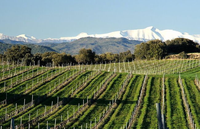 Excursion œnologique d'une journée dans le Somontano et visite d'Alquezar - Photo 1