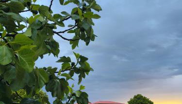 Tapada das Carvalhas - Foto 3