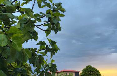 Tapada das Carvalhas - Foto 3