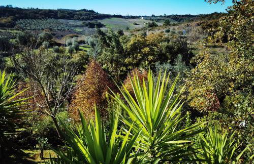 Quinta do Vale Encantado "the Valley" - Santarém - Portugal - Foto 54
