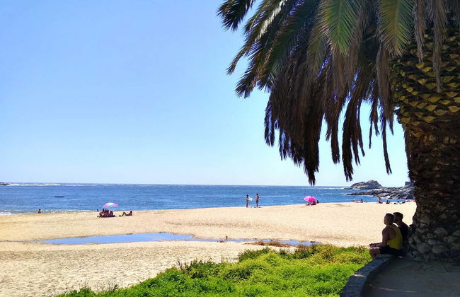Valparaíso Northern Coast Tour - Photo 7