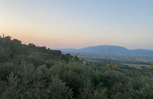 Agriturismo Casa Orsini - Foto 51