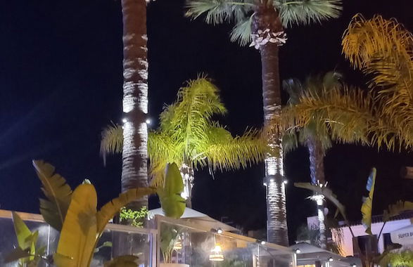 Apartamentos Honório - Photo 41