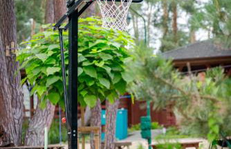 Campus Karolina BRENNO - Foto 78