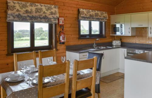 Dartmoor - Uk12537 - Foto 5