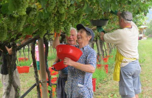 Residence La Colombera - Foto 57