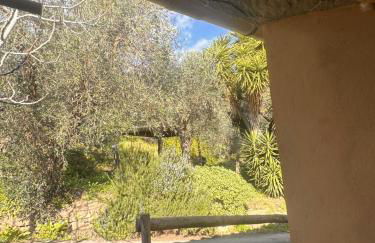 Podere Val di Vico - Foto 15