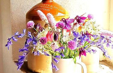 Old Bake House Cottage @ Cwm Mill - Photo 6