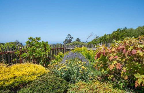 Sea Pebble - Sea Ranch Retreat - Foto 52