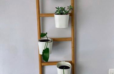 Oliveira House - Photo 52