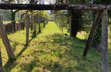 Finca Bouzas - Foto 25