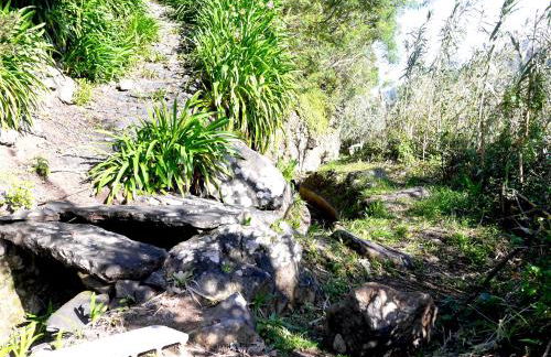 Green Valley Cruzinhas House with Fireplace & BBQ - Foto 46