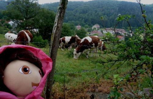 Gîte rural Les Maires d'Avaux - Foto 22