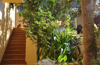 Casa La Erita - Foto 26