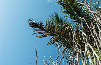 MaLu Bangalôs - Foto 36