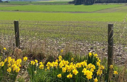 The Cabins at Redroofs - Photo 16