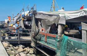 Optimist Sunlife Ostsee - Foto 13