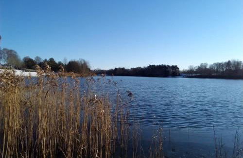 Ferienhaus mit Minibauernhof - Photo 31