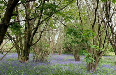 Surfers Lodge - Rest Bay, Porthcawl - Foto 60