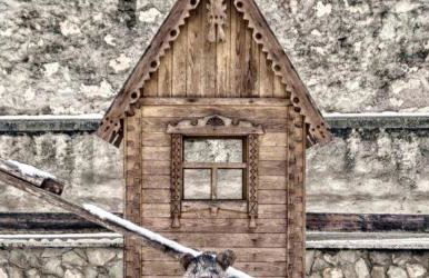 Cielos - Photo 52