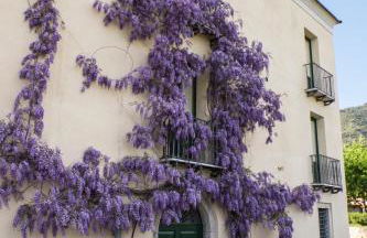 Barone GR Macrì Agriturismo Modi - Foto 24