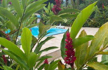 Chácara Gomes - Caiubura - Bertioga - Foto 53