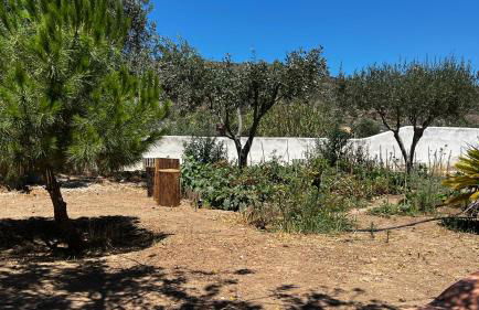 Marios House - Photo 33