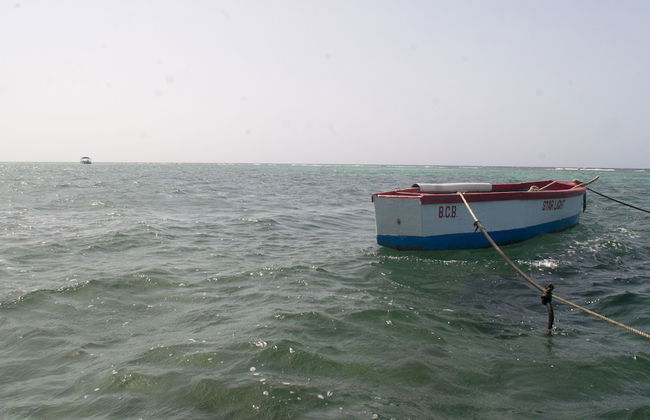 Sunset NaBro - Photo 27