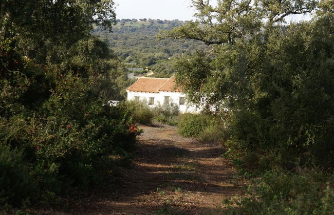 Casa Rural Elanio Azul - Foto 23