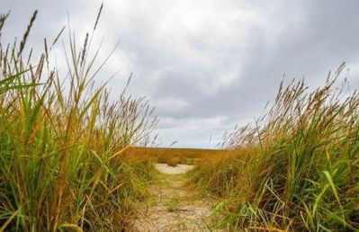 Ferienhaus Kornew EG - Foto 22