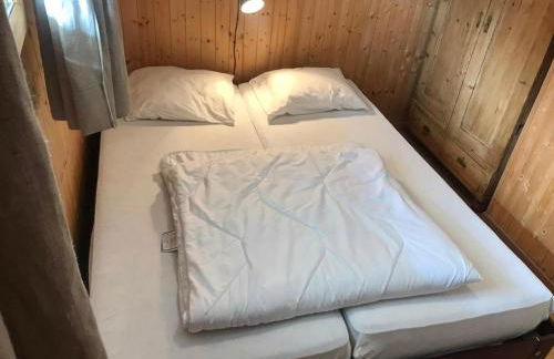 Les Fledd's - Foto 23