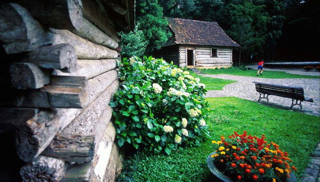 Visitando o Bosque João Paulo II