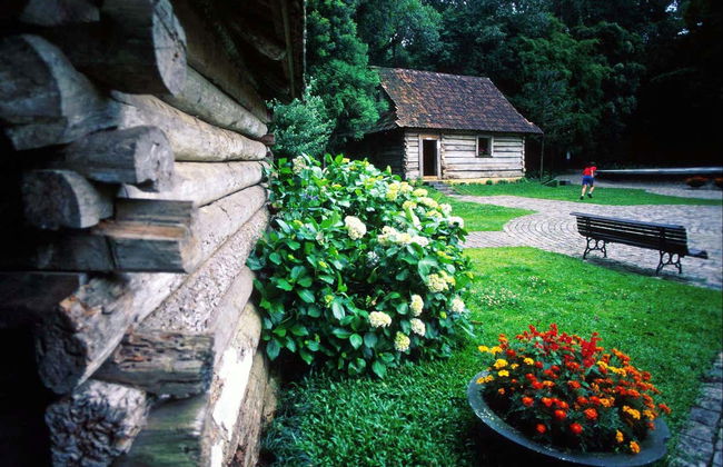 Curitiba Sightseeing Tour - Photo 4