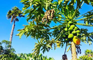 Villa Montana Negra II - Foto 28