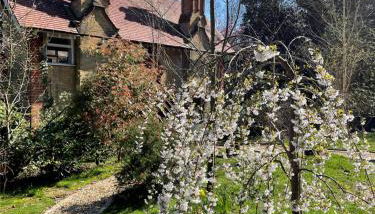 3 The Mews - Photo 2