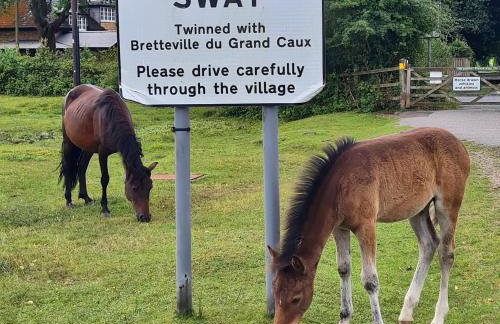 3-bed cottage in Sway, New Forest (5 min walk from Sway Train Station) - Foto 55