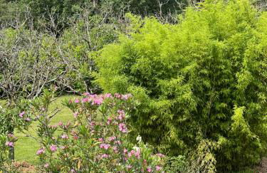 Le Clos Saint James 5 étoiles - Foto 39