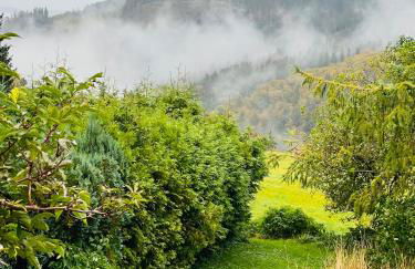 Ferienhaus Doina - Photo 24