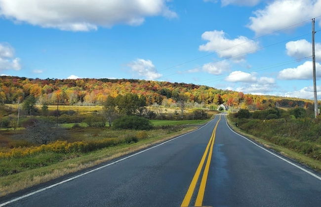 Catskill Retreat - Foto 74