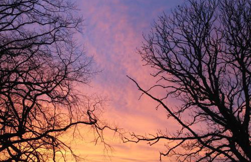 Ballyhargan Farm House - Foto 41