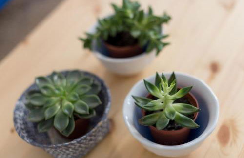 Casa Do Mercado by Heart of Funchal - Foto 56