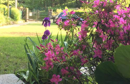 Baita Sorriso - Foto 42