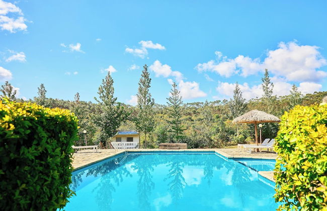 Andasibe Sifaka Lodge - Foto 27