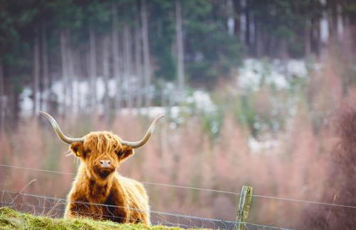 Chalet Rowan Cottage by Interhome - Foto 32