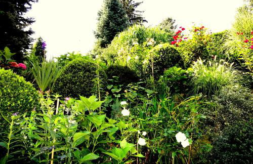 Ferienwohnung Ginkgo - Foto 35