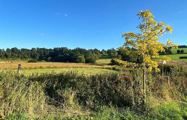 Apartment Near Forest in Nidrum - Foto 32