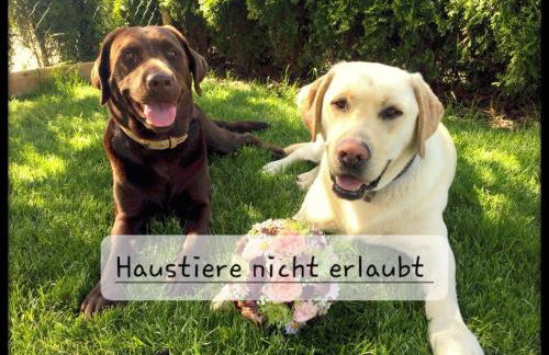 Apartment Zettler - Foto 21