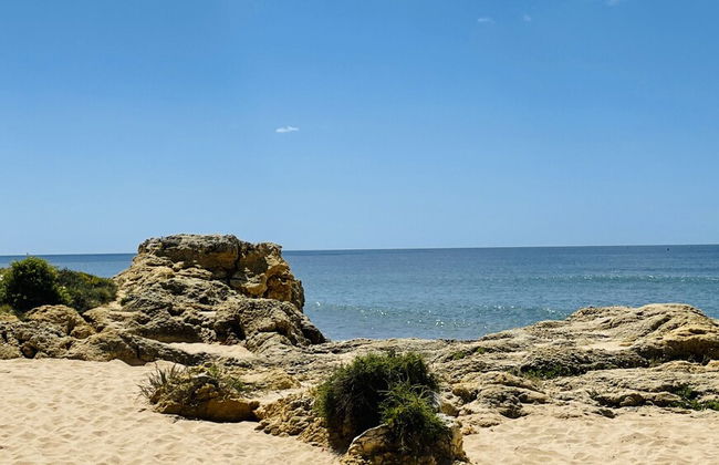 Bicos 101 CIP - Foto 31