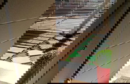 Casa Conforto com Piscina - Photo 1