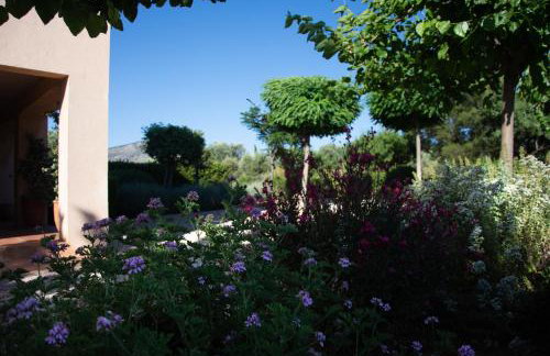 Villa Rosa with private pool, Athens Riviera - Foto 27